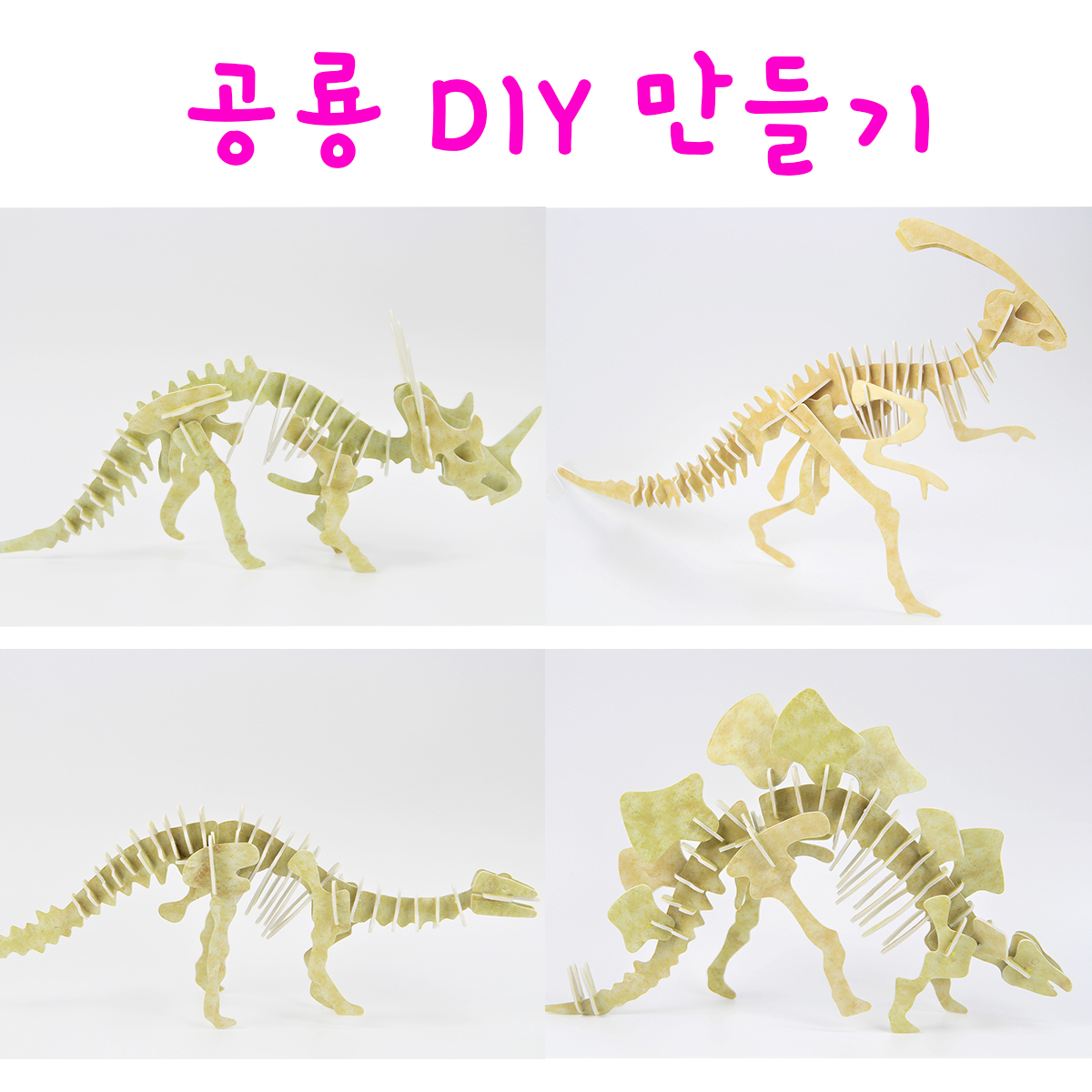 리얼세일(Realsale) 공룡DIY만들기