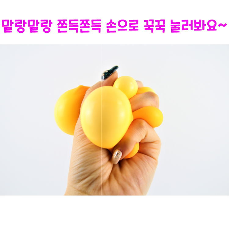 리얼세일(Realsale) 시바견 말랑이